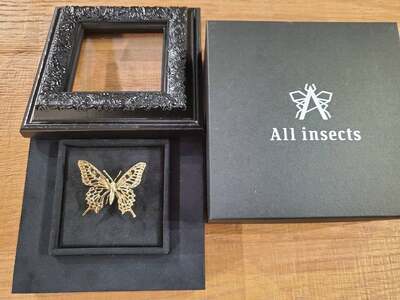 ススメバチピンブローチ　ブラックカラー　All insects　【セレブ御用達】【世界30個限定】