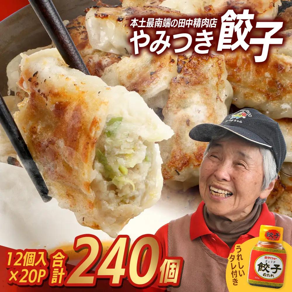 《リピーター続出！》佐多の田中肉屋 ニンニクたっぷりやみつき餃子 240個（12個入り×20パック） 餃子のタレ3本付き TA-2 | ぎょうざ 餃子 ギョウザ 豚肉 ひき肉 にんにく スタミナ餃子 焼くだけ 簡単 小分け 大容量 手作り お惣菜 おかず 冷凍 鹿児島県 南大隅町 田中精肉店