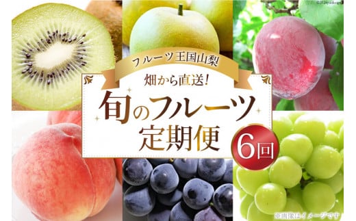 【先行受付】【6回定期便】 フルーツ王国 山梨県産 6種セット ／ えべし フルーツ 果物 くだもの 貴陽 すもも もも 桃 梨 なし ぶどう ブドウ 葡萄 シャインマスカット キウイ 新鮮 果実 産地直送 山梨県 中央市