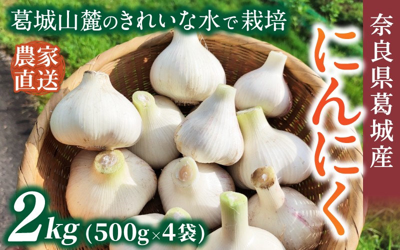 
                  奈良県葛城産 にんにく 約2kg(500g×4袋)  【2026年5月上旬～7月下旬順次発送】／ スマイル葛城農業 大和野菜  にんにく 農家直送 産直 新鮮 旬 名産 健康 美容 栄養 奈良県 葛城市【smlk065】
                