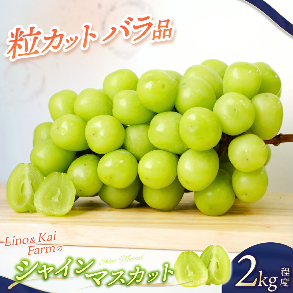 【ふるさと納税】 2026年先行予約 【粒カットバラ品】 シャインマスカット (2kg程度） Lino＆Kai Farm 2026年10月上旬〜順次発送 訳あり ぶどう 岡山 真庭 マスカット 産地直送 数量限定