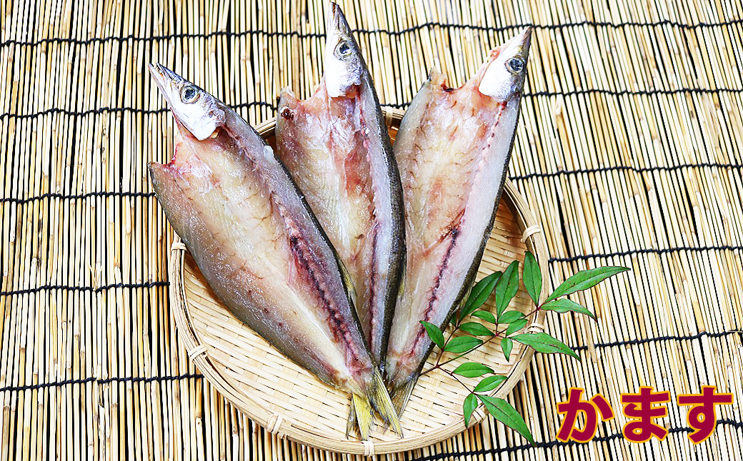 ◆かますの干物：３枚