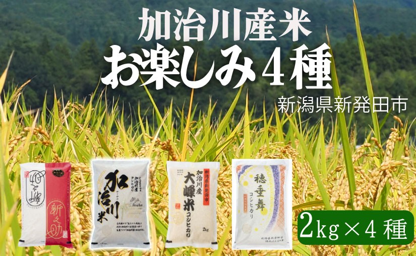 
                  【新潟米食べ比べ】 お楽しみ 4種 コシヒカリ 新之助 各2kg 8kg 令和7年産 新潟県 新発田市 加治川産  新発田産 新潟 ふるさと納税 精米 米 お米  こしひかり 白米 米 お米 こめ コメ ライス ご飯 ごはん 美味しい 贈り物 国産 新潟県 新発田市 お取り寄せ 令和7年産米 産地直送 GAP認証 JGAP アグリ加治川 agk011
                