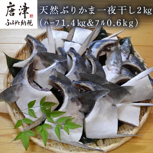 天然 塩ぶりかま 8食入 100g×4食×2袋(合計800g) ブリカマ おかず おつまみ 「2022年 令和4年」