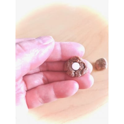【ペットフード】無添加投薬補助・まるでご褒美 「くすり玉」 12個×5袋 犬用 北海道産_03368【配送不可地域：離島】【1478747】