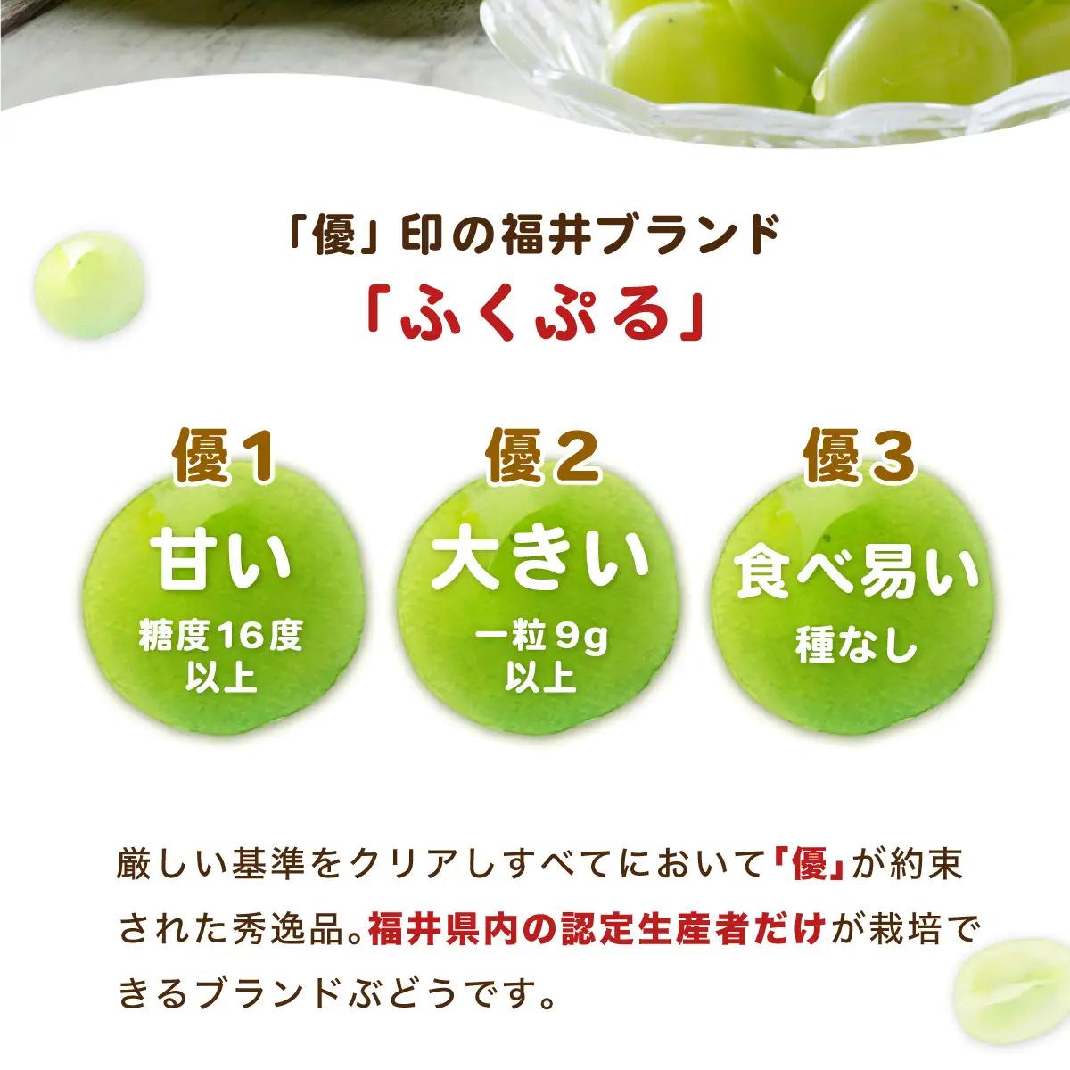 シャインマスカット ふくぷる 500g [003-a003] 