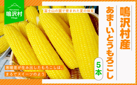 ＜2026年発送先行予約＞鳴沢村産あまーいとうもろこし5本  【2026年7月下旬~お盆中にかけて発送】  NSJ017-a