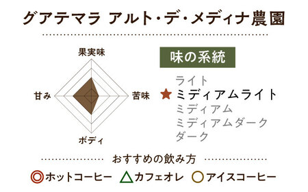 【スピード発送】グアテマラ アルト・デ・メディナ農園  200g 粗挽き コーヒー 珈琲 豆 粉 コーヒー豆 コーヒー粉 ドリップ ギフト 大阪府高槻市/自家焙煎コーヒー マウンテン[AOEL057]