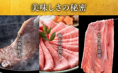 極上 松阪牛 しゃぶしゃぶ肉 （500g×6パック） 牛追道中 US19