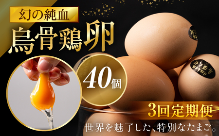 【3ヶ月定期便】烏骨鶏卵 モールド 40個セット | 烏骨鶏 卵 たまご 烏骨鶏卵
