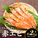 【ふるさと納税】【お刺身用】赤海老 アルゼンチン赤海老 2キロ 約20尾～40尾 生食可能 刺身 バーベキュー 海鮮 有頭 特大．AE098