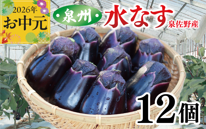【お中元対応】泉州 泉佐野市産 ハウス水なす 12個【茄子 泉佐野産 とれたて 新鮮野菜 やさい 高評価 大阪 泉佐野 大阪府 泉佐野市】