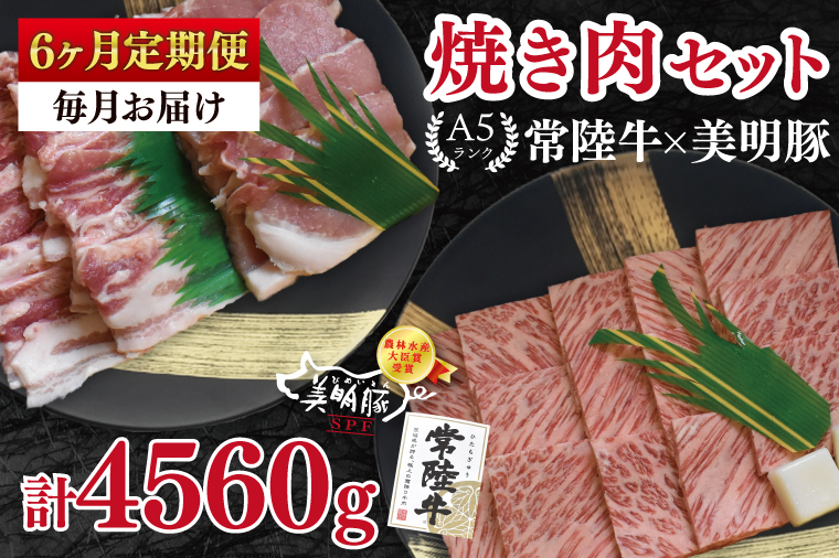 【6ヶ月定期便】【常陸牛 A5ランク・美明豚焼肉セット】常陸牛カルビ360ｇ＋美明豚400ｇ（ロース200ｇ・ばら200ｇ） 冷凍 国産牛 和牛 牛肉 豚肉　ブランド豚 茨城県 水戸市 食べ比べ セット商品 国産 BBQ 老舗精肉店（EK-23_2）
