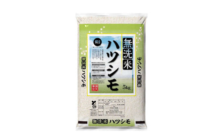 [美濃の希少種]無洗米 はつしも 10kg(5kg×2袋) 岐阜県産 令和4年産【1428680】