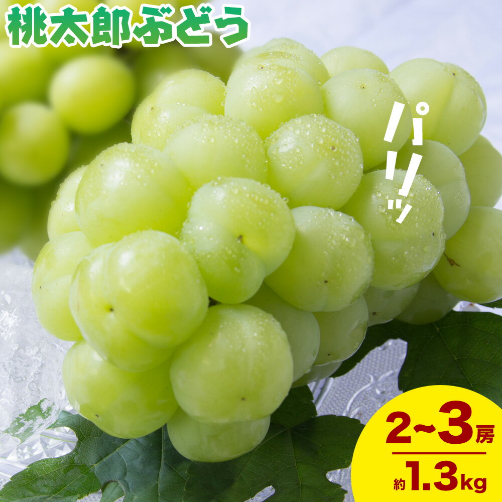 【ふるさと納税】【2026年発送先行予約】岡山県産 桃太郎ぶどう 1.3kg 2房-3房 晴れの国おかやま館 《2026年9月上旬-9月下旬頃出荷》岡山県 矢掛町 葡萄 ぶどう 果物 スイーツ フルーツ デザート【配送不可地域あり】（離島）