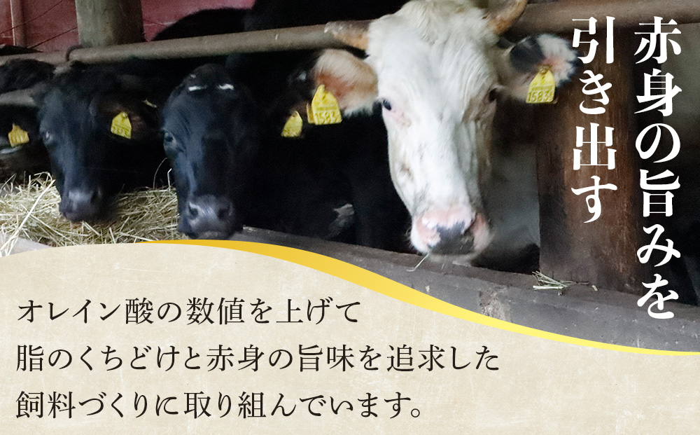 ナカガワ牛ランプ 100g×10 計1000g