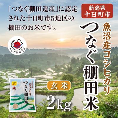ふるさと納税 十日町市 令和7年産新潟県十日町市魚沼産コシヒカリ「つなぐ棚田米」玄米2kg