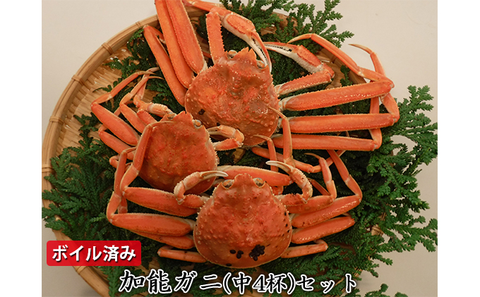 【ボイル済み】加能ガニ（中4杯）セット