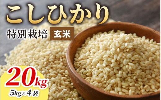 【令和7年産】こしひかり 20kg【玄米】減農薬・減化学肥料 「特別栽培米」－地球にやさしいお米－