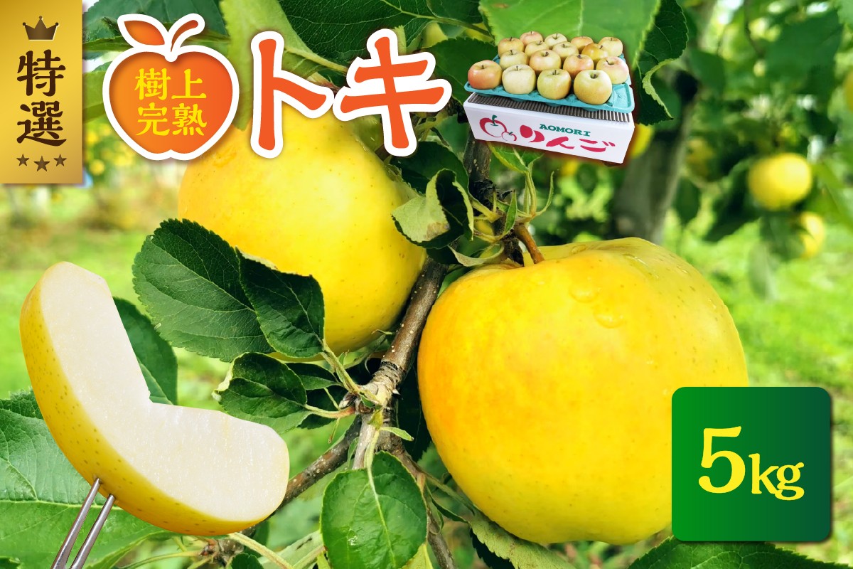 
            【2025年10月発送】【樹上完熟】特選 青森りんごトキ(5kg) 贈答
          