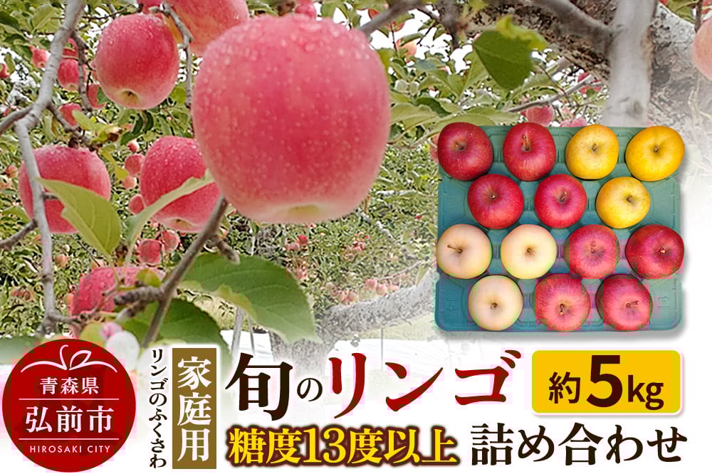 
            りんご 家庭用 旬のリンゴ詰め合わせ 約5kg 糖度13度以上
          