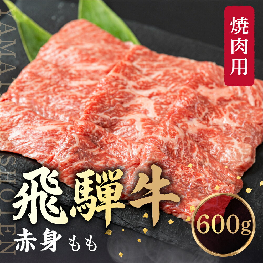 【ふるさと納税】飛騨牛 もも 焼肉用 600g 肉 ブランド牛 黒毛和牛 もも肉 バーベキュー キャンプ 飛騨高山 山武商店 LZ008