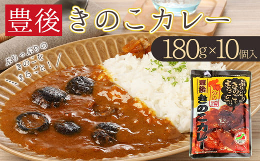 豊後きのこカレー 10個セット F6