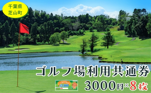 芝山町ゴルフ場利用券　8枚 ／ golf 芝山ゴルフ倶楽部 京カントリークラブ イーグルレイクゴルフクラブ 共通チケット アウトドア 施設利用券 千葉県 No.008