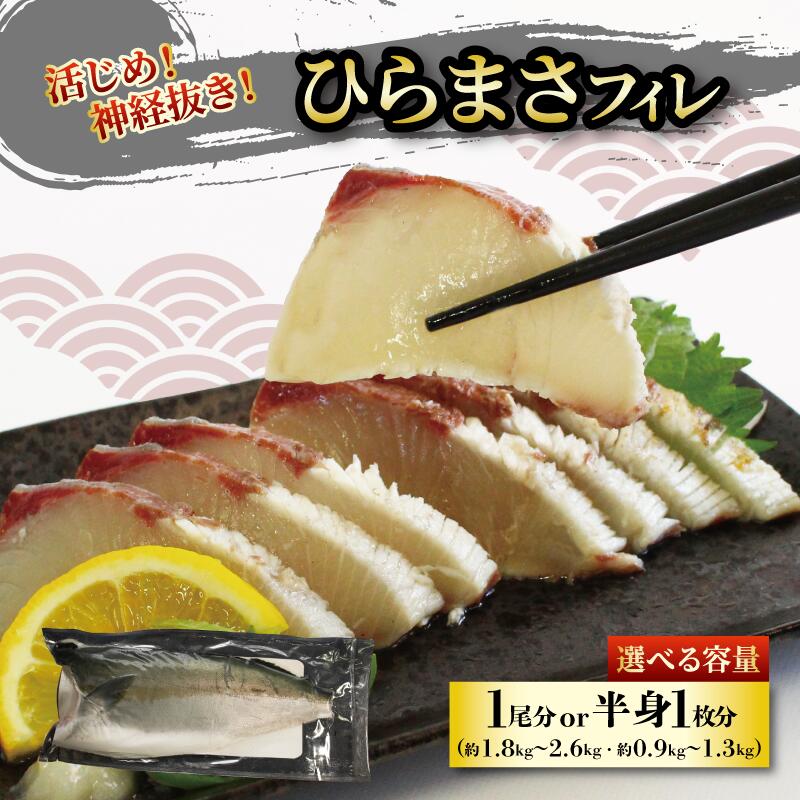 【ふるさと納税】 ひらまさ フィレ 半身1枚（約0.9～1.3kg） または1尾分（約1.8～2.6kg） ヒラマサ 魚 鮮魚 刺身 活じめ 神経抜き 高級 お取り寄せ 海鮮 寿司 焼き魚 照り焼き 塩焼き 煮魚 グルメ 人気 おすすめ ギフト 贈答 ご家庭用 産地直送 冷蔵 送料無料 愛媛県 松山市
