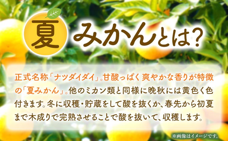 【先行予約】夏みかん 約7.2kg 株式会社魚鶴商店《2027年4月中旬-4月下旬頃出荷》 和歌山県 日高町 みかん 夏みかん 柑橘