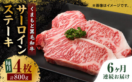 【6回定期便】くまもと黒毛和牛 サーロインステーキ 計800g（4枚）【馬刺しの郷 民守】 ステーキ サーロイン ヒレ 霜降り  [ZBL081]