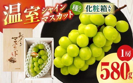 【先行受付】温室シャインマスカット　1房化粧箱入り(580g以上) | マスカット ハウス ぶどう ブドウ 葡萄 果物 フルーツ 人気 香川 香川県 三木町 種なし 皮ごと食べられる ジューシー 化粧