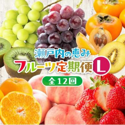 ふるさと納税 高松市 【発送月固定定期便】高松市自慢のフルーツ【L】全12回