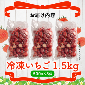 完熟 冷凍いちご 1.5kg 【 いちご 苺 】