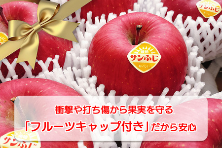 高橋りんご園　贈答用りんご　『サンふじ』5kg　フルーツキャップ付き