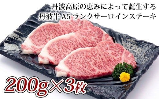 丹波牛 A5ランク サーロインステーキ 600g（200g×3枚） 【 国産牛ステーキ 和牛ステーキ 牛肉 丹波牛 ステーキ サーロインステーキ A5ランク 赤身 赤身肉 京都  いづつ屋  】　[050IZ001]