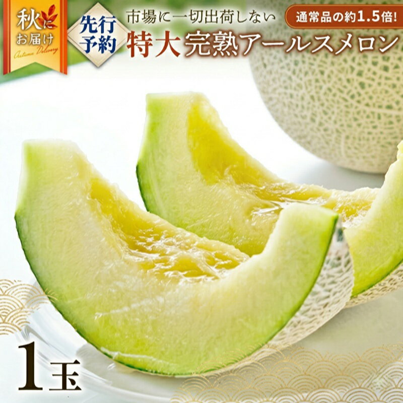 【ふるさと納税】 完熟 アールスメロン ( 選べる 内容量 ) 2026年産 先行予約 メロン マスクメロン 青肉 果物 フルーツ 茨城県産 期間限定 数量限定 1玉 特大1玉 2玉 3玉 4玉 5玉