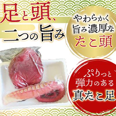 ふるさと納税 根室市 【北海道根室産】真たこ足1〜1.3kg・たこ頭1.5〜1.9kg F-19002 |  | 01