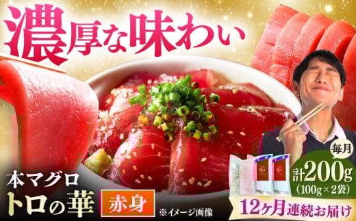 【全12回定期便】対馬産 本マグロ 赤身200g ≪対馬市≫【桐谷商店】 トロの華 対馬 新鮮 マグロ 赤身 鮪 刺身 [WAQ114]