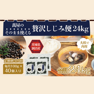 【6ヶ月定期便】涸沼産冷凍しじみ中粒４kg（100g×40p）（CA-25）