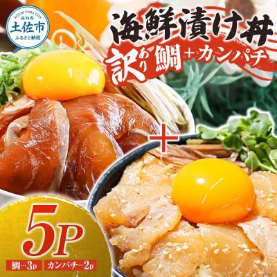 ふるさと納税 土佐市 【訳あり】海鮮漬け丼(タイ3袋・カンパチ2袋)