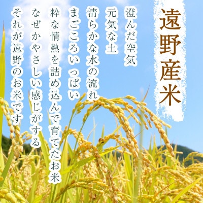 【令和7年産】いわてっこ(無洗米) (精米)岩手県遠野市産 10kg 河判【1714127】