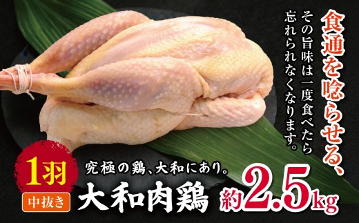 大和肉鶏 中抜き 約2.5kg 1羽 |  肉 鶏 大和 鶏肉 かしわ うまみ 料理 和食 洋食 食卓 新鮮 食 フード 高品質 コク おすすめ だし 一貫生産 国産 通販 ギフト 奈良県 五條市