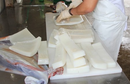 冷凍ソデイカ　500g(3~4人前) 