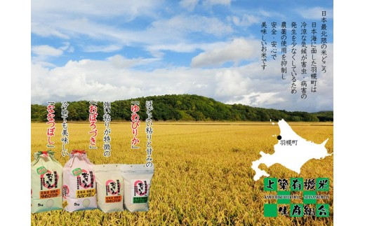 【2025年産】 北海道羽幌産 特別栽培米 ゆめぴりか2kg・ななつぼし2kgセット