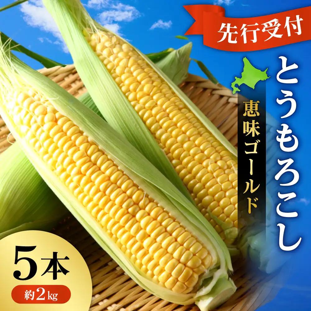 【先行受付】とうもろこし（恵味ゴールド） 5本（約2kg） | 野菜 トウモロコシ 北海道 札幌市