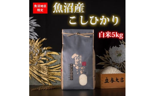 【令和7年産 新米】魚沼産コシヒカリ【白米5kg】【令和7年11月下旬以降発送】【米 お米 こしひかり 南魚沼 米 白米 こめ 新潟 米】