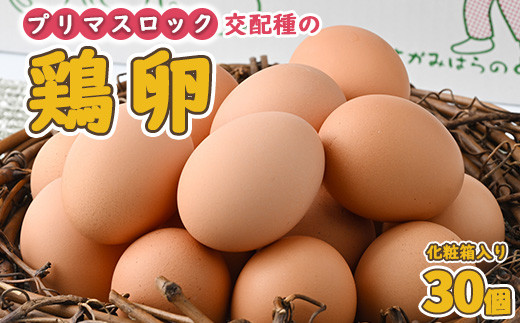 たまご 卵 プリマスロック 交配種の 卵 化粧箱入り30個 神奈川 相模原 田中養鶏場