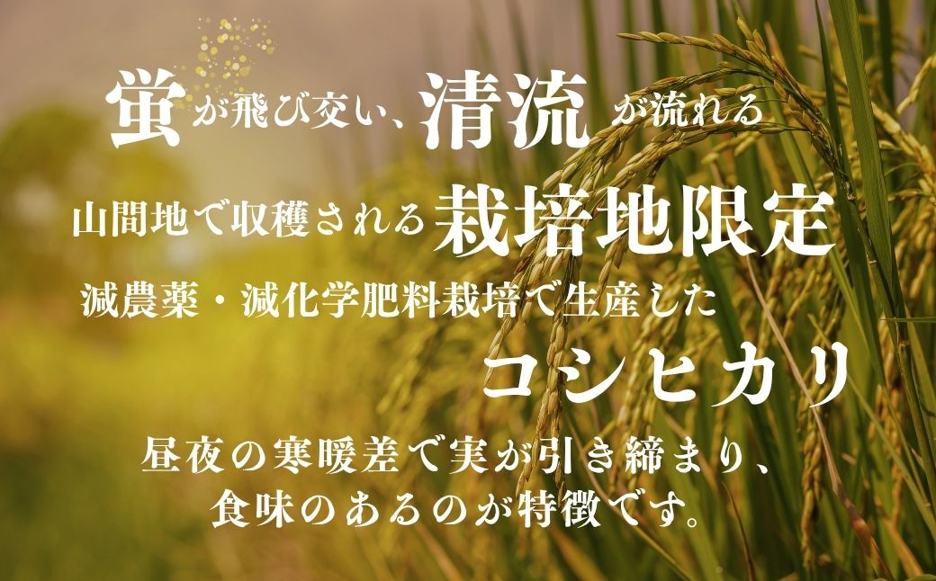 『蛍米』 パックごはん180g×24個入り 特別栽培米こしひかり パックご飯 パックライス コシヒカリ 24食 石川県 小松市産 お米 防災用