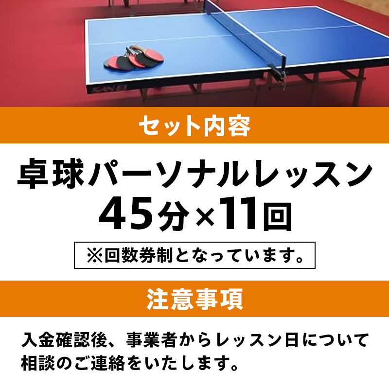 卓球パーソナルレッスン（45分×11回）【0075-003】_イメージ3